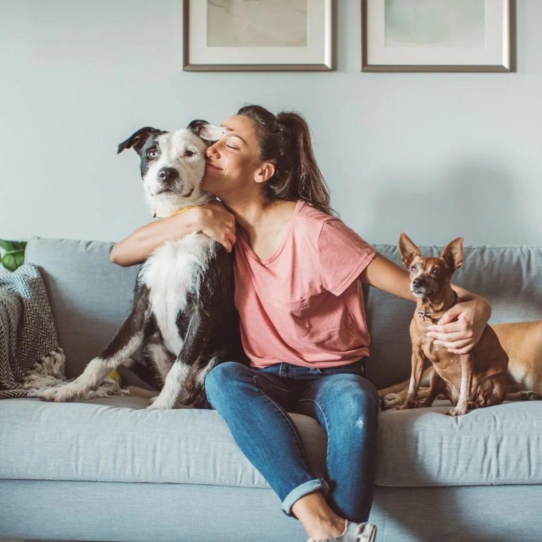 Proprietaria abbraccia i suoi due cani sul divano di casa